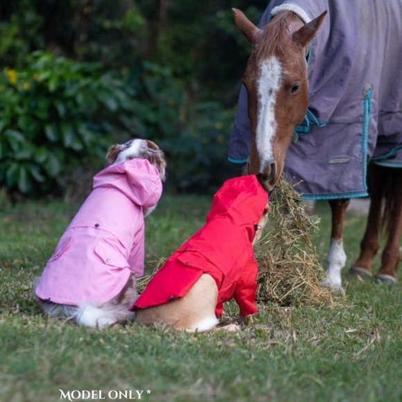 Small Breed Size 2XL Pink Raincoat with Grey and White Pinstripe Lining - Picture 7 of 9